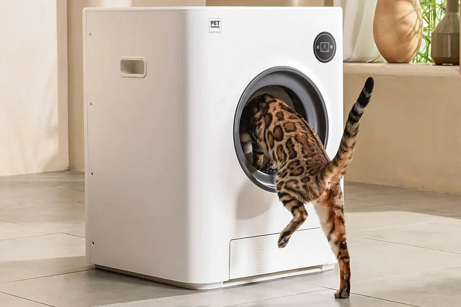 best automatic cat litter boxes